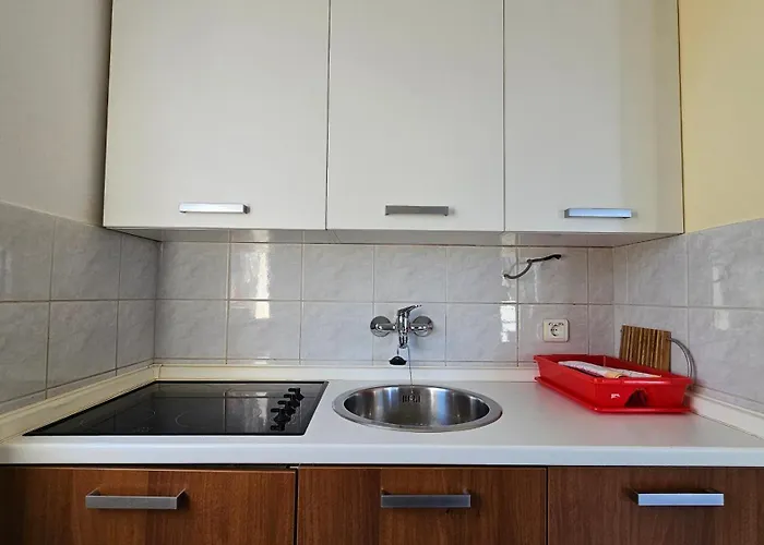 Sea View Danijela 2-4 Pax Apartment